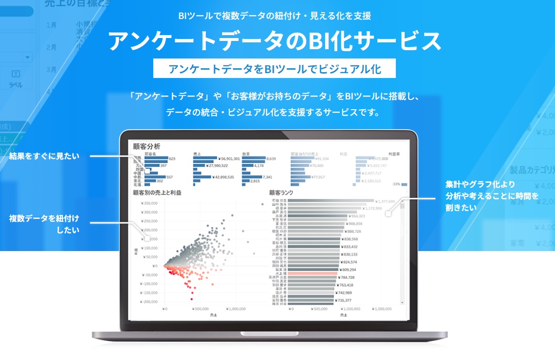 アンケートデータのBI化サービス