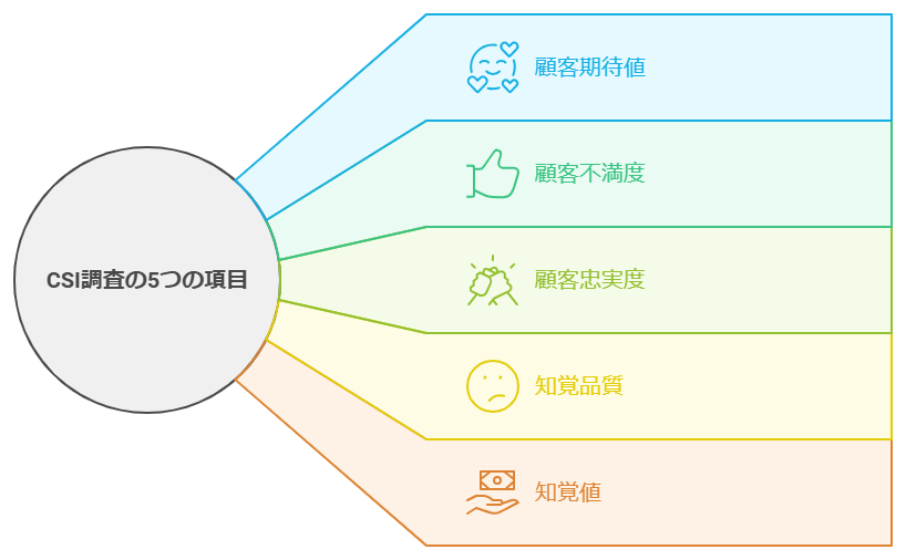 図　CSI調査の5つの質問項目